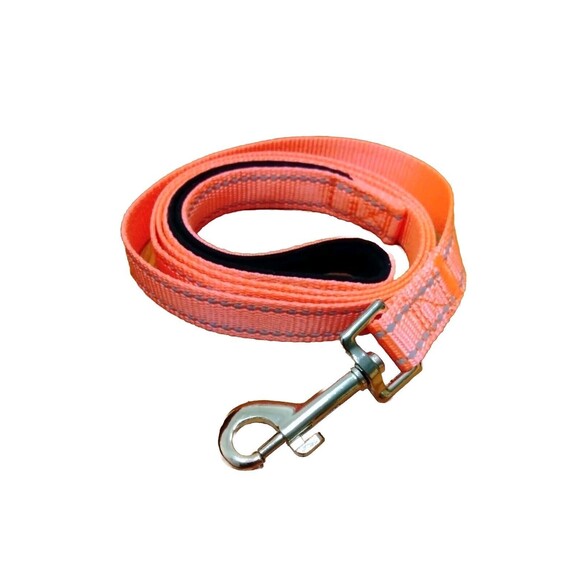 Fluorescent Pink 6 Ft Reflective Dog Leash - Picture 1 of 1